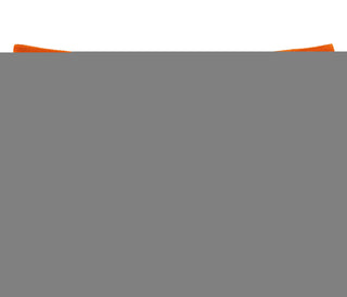 Deepthroat - Funny Giraffe Logo - Orange Boy Short