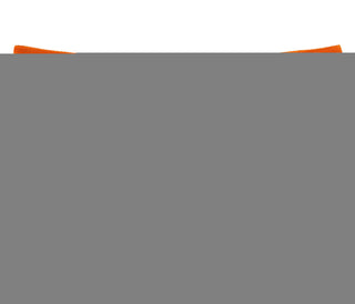 Dirty Fucking Whore - Orange Boy Short