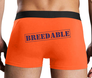 Breedable - Orange Boxer Brief