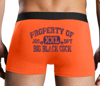 Property Of Big Black Cock - Jack Of Spades - Orange Boxer Brief
