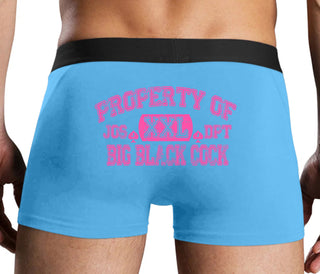 Property Of Big Black Cock - Jack Of Spades - Blue Boxer Brief