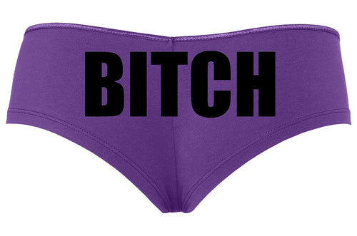 Knaughty Knickers Bitch Sexy Underwear Purple Boyshort Panties Rude Nasty dom Slut