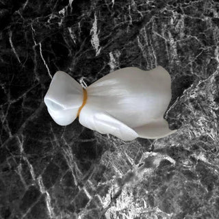 Pastel Colored design Daddys Little Kitten Butt Plug