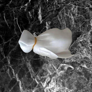 Property of Daddy Butt Plug